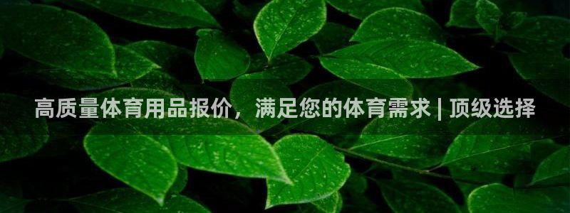 欧陆娱乐里面怎么看打排五：高质量体育用品报价，满足您