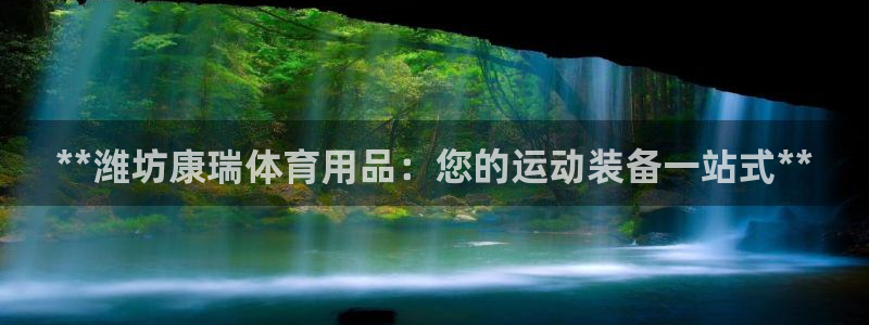欧陆娱乐里面怎么看打排五：**潍坊康瑞体育用品：您的