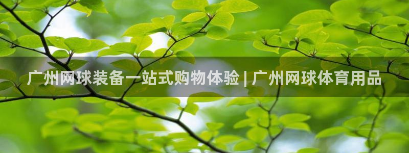 欧陆娱乐挂机项目：广州网球装备一站式购物体验 | 广