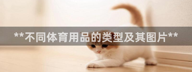 欧陆娱乐平台登录不上怎么回事：**不同体育用品的类型