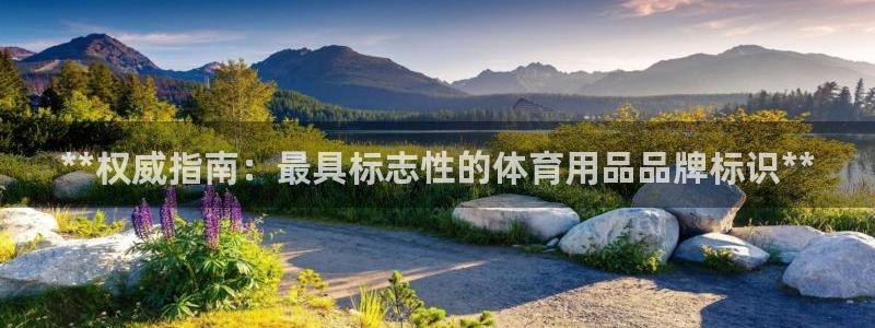 欧陆娱乐线路测速：**权威指南：最具标志性的体育用品