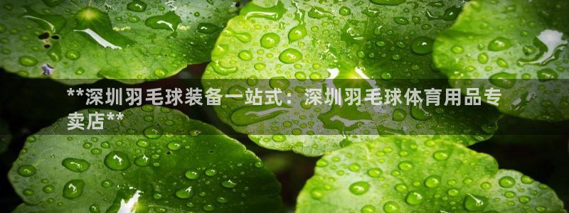 欧陆娱乐登录官网下载：**深圳羽毛球装备一站式：深圳