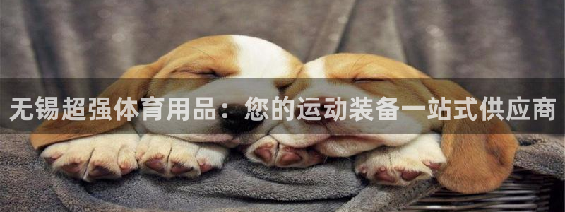 欧陆娱乐是正规平台吗安全吗可靠吗：无锡超强体育用品：