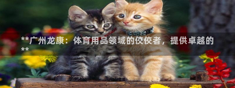 欧陆娱乐挂机项目：**广州龙康：体育用品领域的佼佼者