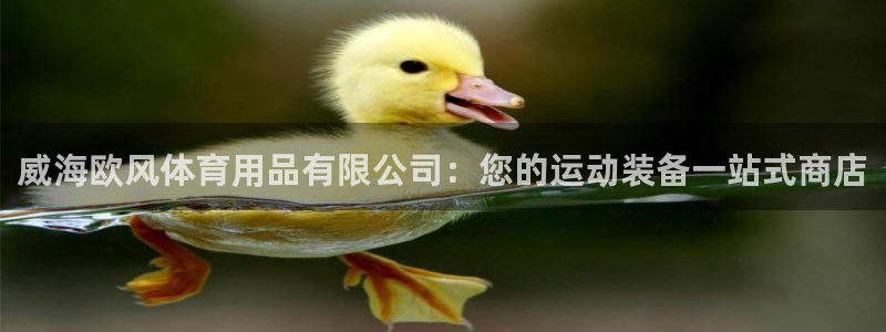 欧陆娱乐会员多少钱：威海欧风体育用品有限公司：您的运