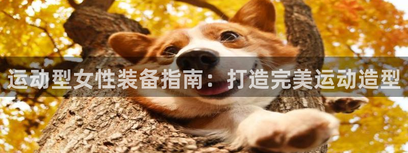 欧陆娱乐微信：运动型女性装备指南：打造完美运动造型
