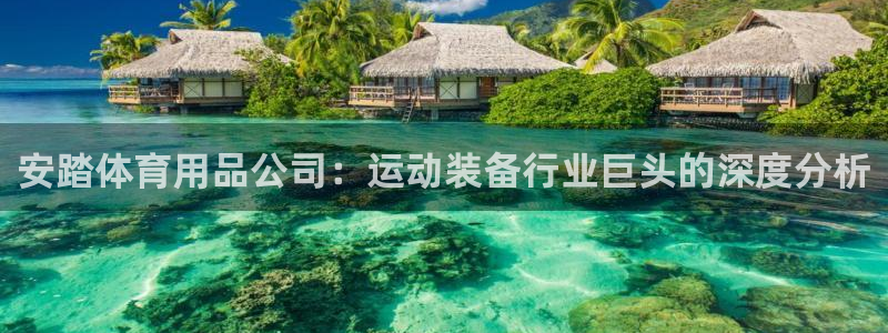 欧陆娱乐有限公司招聘：安踏体育用品公司：运动装备行业