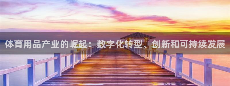 欧陆娱乐官方网站下载：体育用品产业的崛起：数字化转型