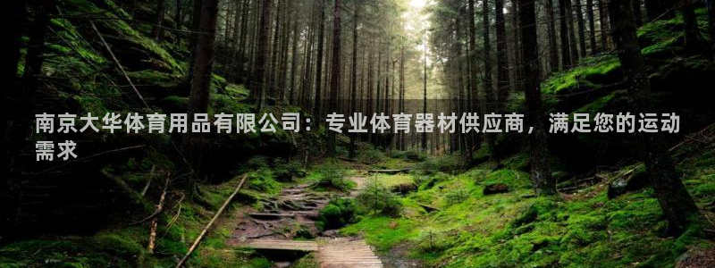 欧陆娱乐挂机怎么玩游戏：南京大华体育用品有限公司：专
