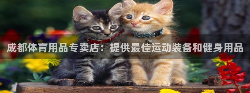 欧陆娱乐官方网站下载：成都体育用品专卖店：提供最佳运