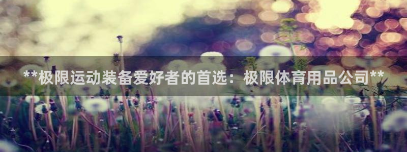 欧陆娱乐app下载：**极限运动装备爱好者的首选：极