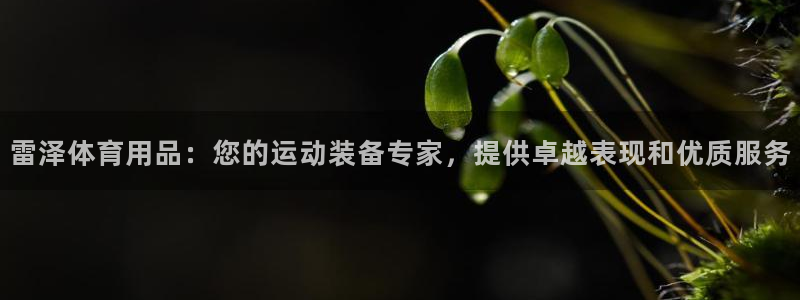 欧陆娱乐测试官网：雷泽体育用品：您的运动装备专家，提