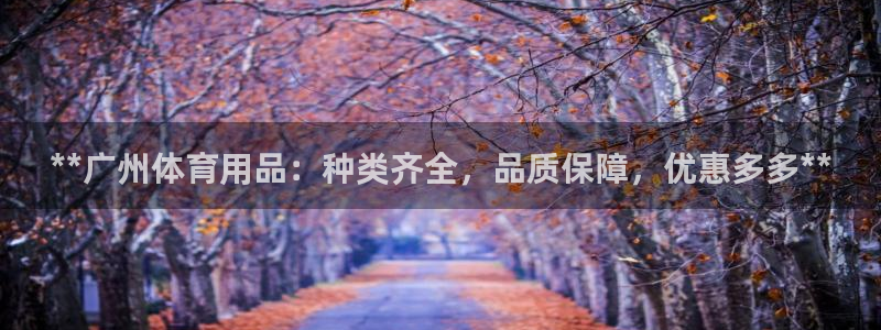 欧陆游戏平台：**广州体育用品：种类齐全，品质保障，