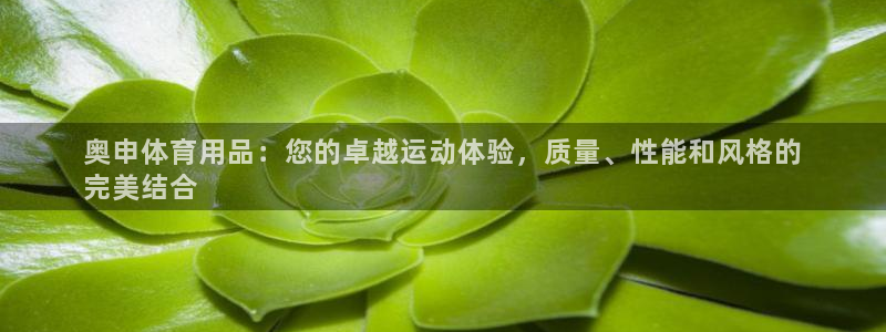 欧陆娱乐登陆官网入口：奥申体育用品：您的卓越运动体验