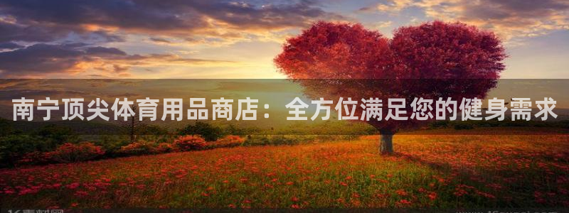 欧陆娱乐客服服务：南宁顶尖体育用品商店：全方位满足您