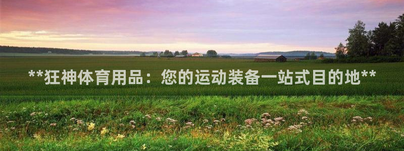 欧陆娱乐是那个旗下的品牌公司：**狂神体育用品：您的