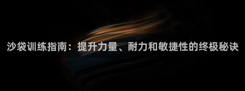 欧陆娱乐平台登陆地址在哪：沙袋训练指南：提升力量、耐