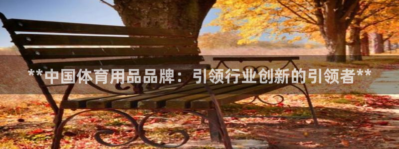 欧陆娱乐平台官网下载：**中国体育用品品牌：引领行业