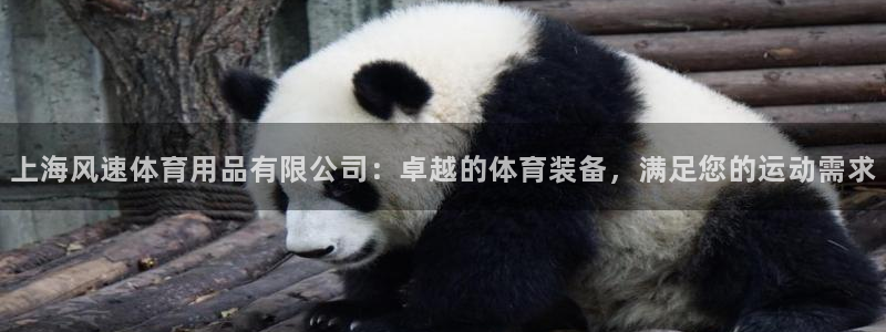 欧陆娱乐能不能玩：上海风速体育用品有限公司：卓越的体