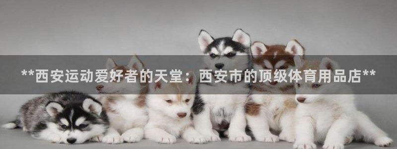 欧陆注册码：**西安运动爱好者的天堂：西安市的顶级体