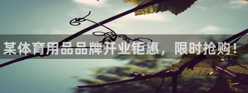 欧陆娱乐注册链接怎么弄的：某体育用品品牌开业钜惠，限