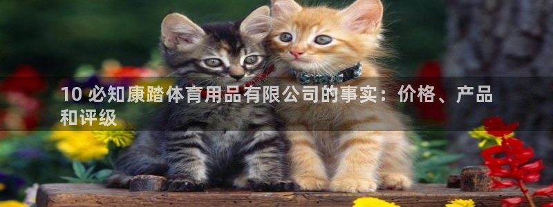 欧陆娱乐官方网站下载：10 必知康踏体育用品有限公司