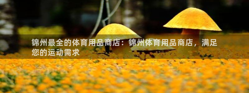 欧陆娱乐代理 贴吧：锦州最全的体育用品商店：锦州体育