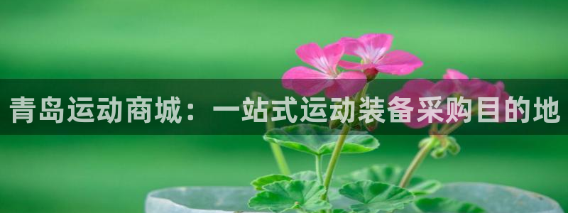 欧陆娱乐官网下载安装最新版本：青岛运动商城：一站式运
