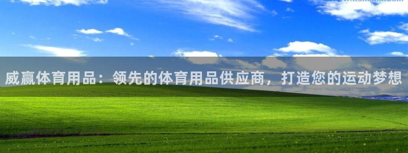 欧陆娱乐测试网站：威赢体育用品：领先的体育用品供应商