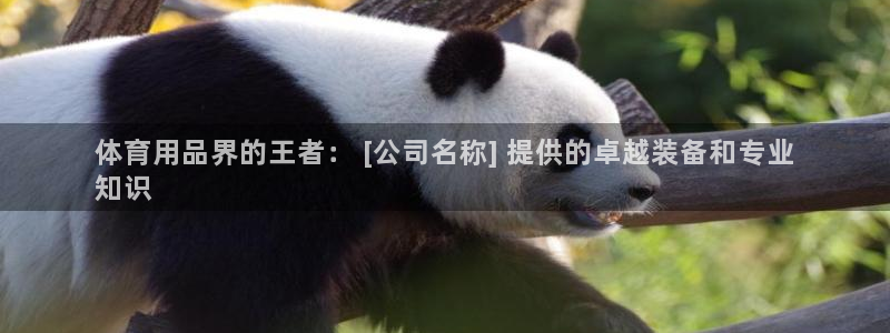 欧陆娱乐平台咋样赚钱快：体育用品界的王者： [公司名
