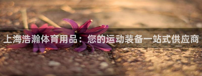 欧陆娱乐挂机怎么玩：上海浩瀚体育用品：您的运动装备一