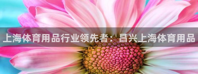 欧陆娱乐挂机项目有哪些