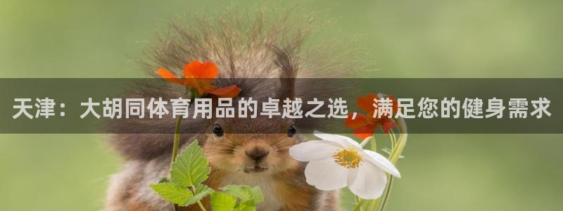 欧陆娱乐官网下载安装最新版本：天津：大胡同体育用品的