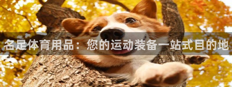欧陆娱乐客服服务电话：名足体育用品：您的运动装备一站