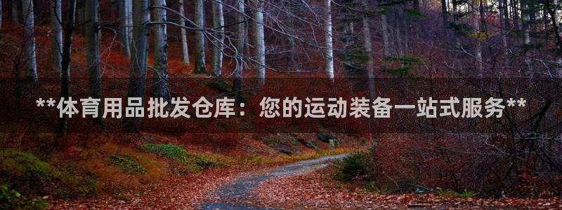 欧陆娱乐官方网站：**体育用品批发仓库：您的运动装备