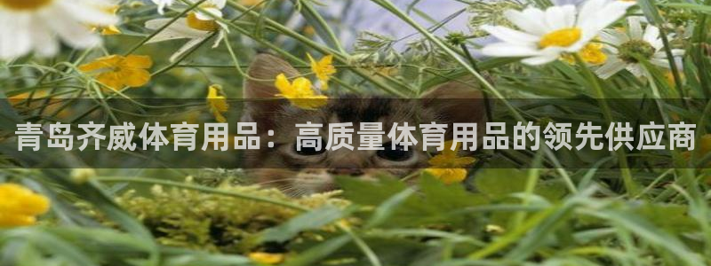 重庆欧陆娱乐有限公司电话：青岛齐威体育用品：高质量体