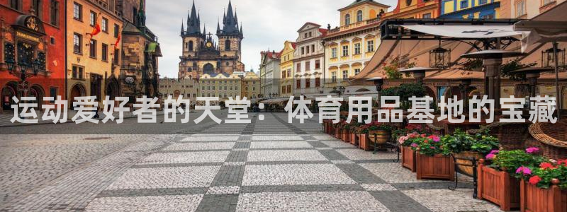 欧陆娱乐出款了吗：运动爱好者的天堂：体育用品基地的宝