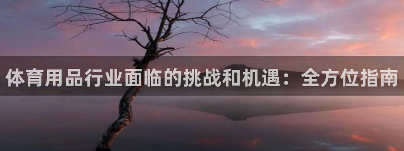 欧陆娱乐是那个旗下的品牌公司：体育用品行业面临的挑战