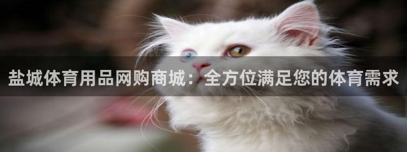 欧陆娱乐官网注册中心在哪：盐城体育用品网购商城：全方