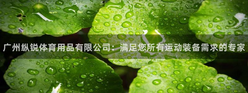 欧陆娱乐官方网站首页：广州纵锐体育用品有限公司：满足