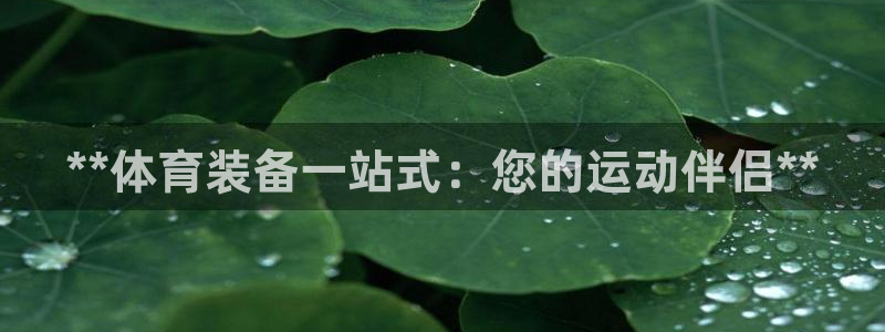 欧陆娱乐平台登陆地址在哪改：**体育装备一站式：您的