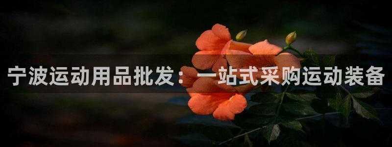 欧陆娱乐里面怎么看打排五：宁波运动用品批发：一站式采