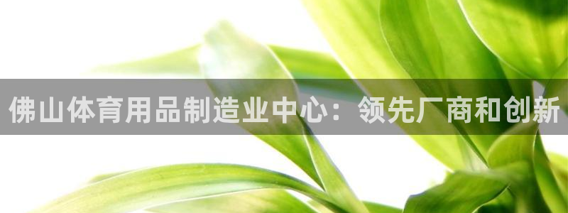 欧陆娱乐平台登陆地址是什么样的：佛山体育用品制造业中