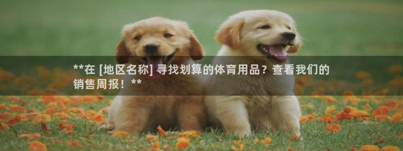 欧陆娱乐游戏：**在 [地区名称] 寻找划算的体育用