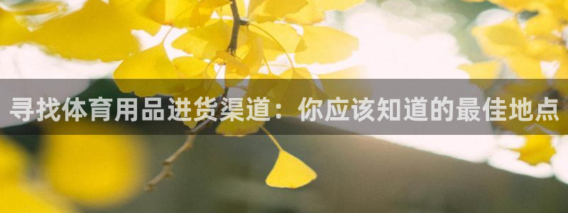 欧陆娱乐游戏：寻找体育用品进货渠道：你应该知道的最佳