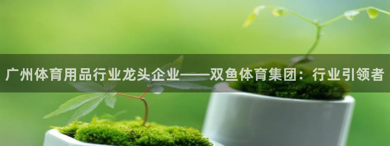 欧陆娱乐是正规平台吗安全吗知乎文章：广州体育用品行业