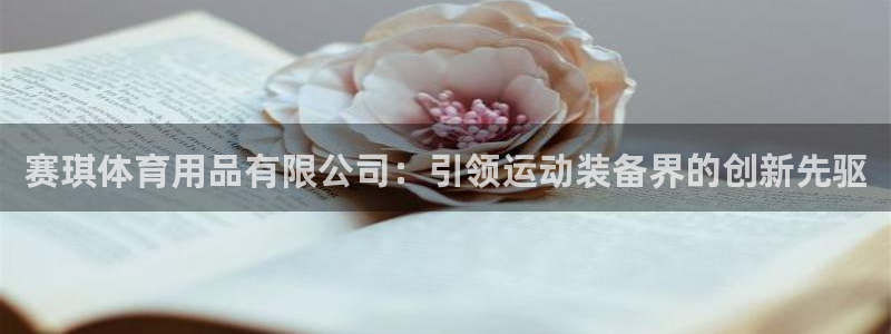 欧陆娱乐客服服务：赛琪体育用品有限公司：引领运动装备