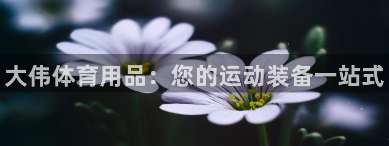 欧陆娱乐登陆平台有哪些：大伟体育用品：您的运动装备一