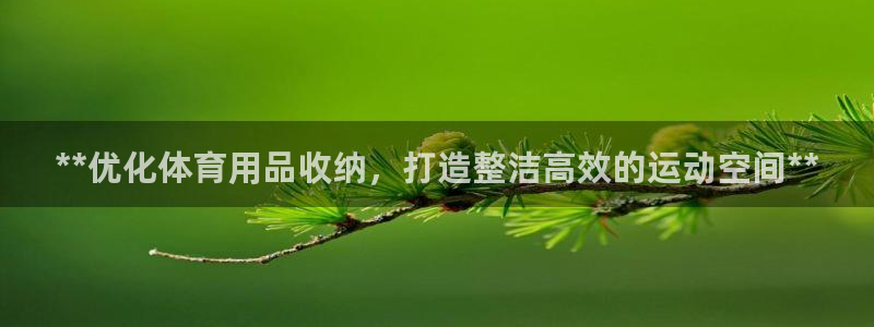 欧陆娱乐官网网址是多少：**优化体育用品收纳，打造整