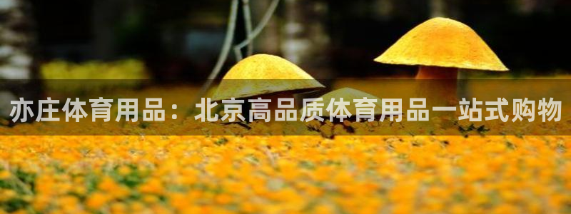 欧陆娱乐测速网站：亦庄体育用品：北京高品质体育用品一